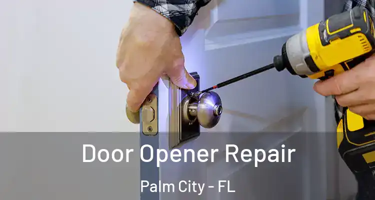 Door Opener Repair Palm City - FL